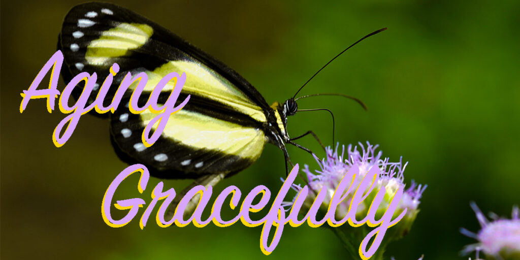 Aging-Gracefully - Webinars - Karin Fogerty