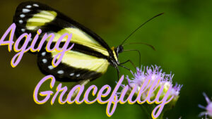 Aging-Gracefully - Webinars - Karin Fogerty