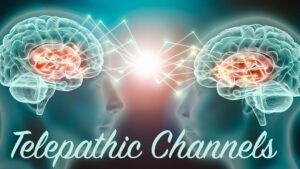 Your Telepathic Channels - Webinars - Karin Fogerty